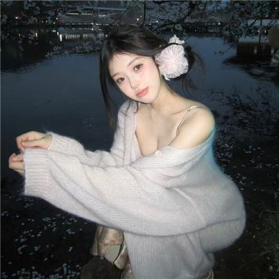 豹